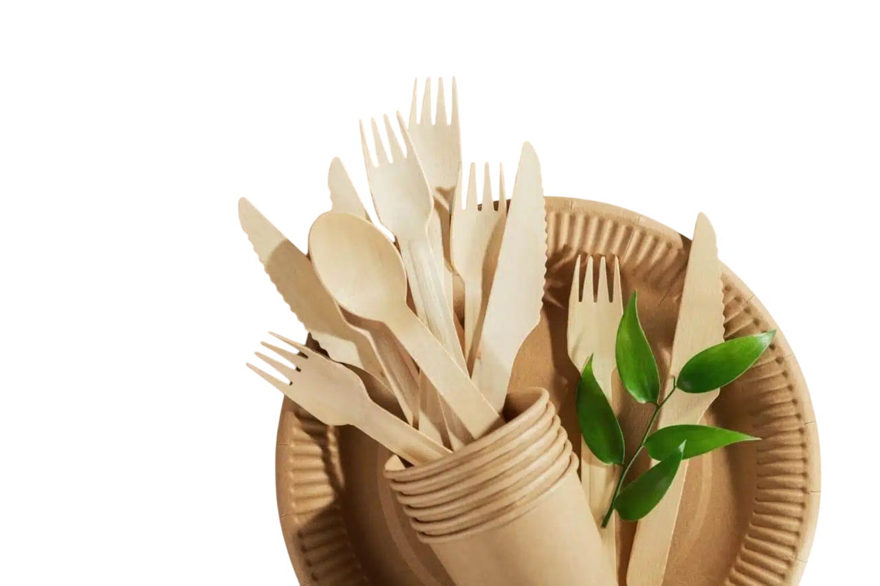 eco-friendly-disposable-wooden-utensils-1536x1023.jpg-Photoroom